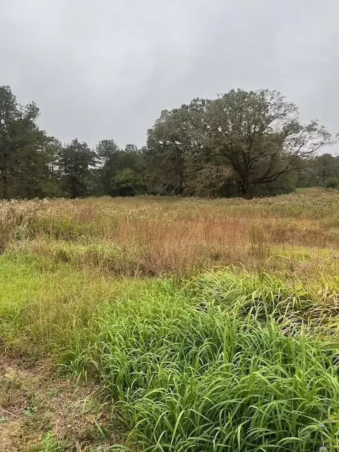 34 Shine Bullock Rd, Laurel, MS 39443