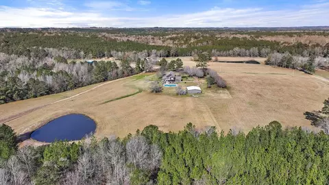 View/Area - 766 Pinola Braxton Rd, Braxton, MS 39044 photo 19 of 26