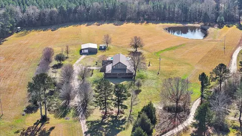 View/Area - 766 Pinola Braxton Rd, Braxton, MS 39044 photo 8 of 26