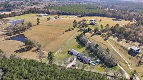 View/Area - 766 Pinola Braxton Rd, Braxton, MS 39044 photo 3 of 26