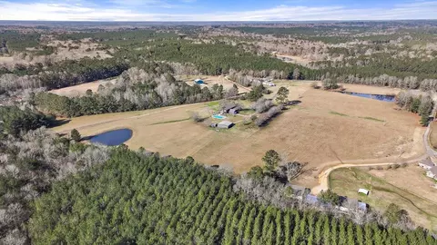 View/Area - 766 Pinola Braxton Rd, Braxton, MS 39044 photo 14 of 26