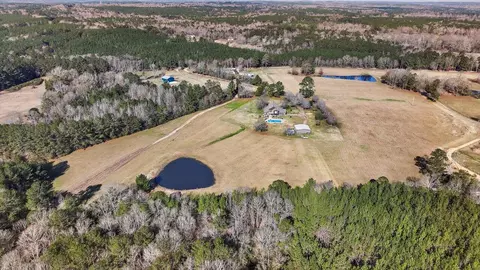 View/Area - 766 Pinola Braxton Rd, Braxton, MS 39044 photo 13 of 26