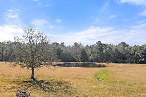 View/Area - 766 Pinola Braxton Rd, Braxton, MS 39044 photo 1 of 26