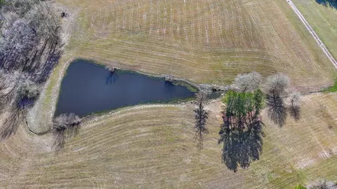 Other - 766 Pinola Braxton Rd, Braxton, MS 39044 photo 10 of 18