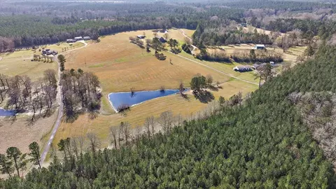 View/Area - 766 Pinola Braxton Rd, Braxton, MS 39044 photo 4 of 26