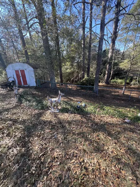 1607 Pineview Ave, Columbia, MS 39429 photo 28