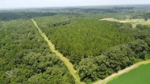 0 Buck Creek Rd, Richton, MS 39476