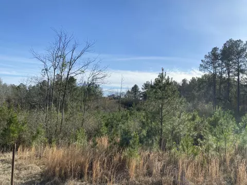 6551 Scr 77, Mize, MS 39116 photo 5