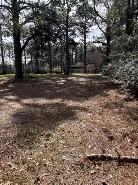58 Ratliff Rd, Foxworth, MS 39483 photo 42