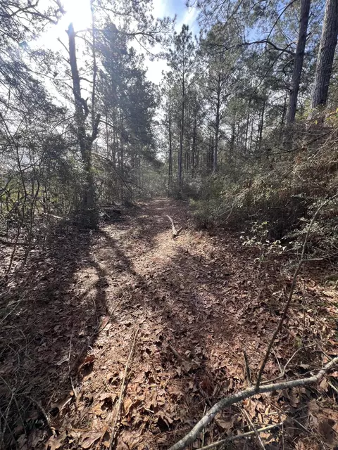 58 Ratliff Rd, Foxworth, MS 39483 photo 35