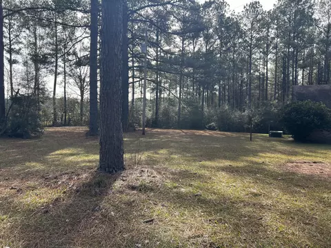 58 Ratliff Rd, Foxworth, MS 39483 photo 47