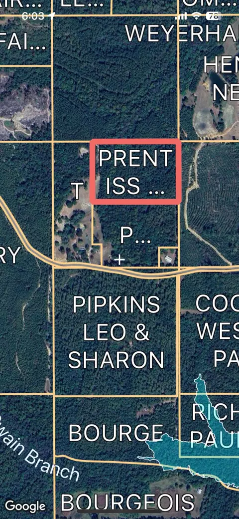 214 Forest Lake Rd, Beaumont, MS 39423