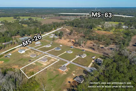 View/Area - 116 Water Oak Dr, Lucedale, MS 39452 photo 3 of 3