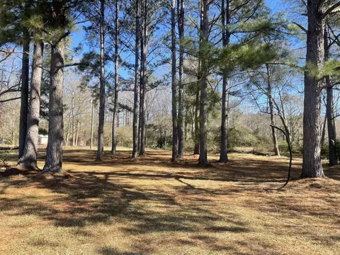 11 River St, Foxworth, MS 39483 photo 9