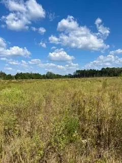 tbd Garrett Rd, Silver Creek, MS 39663