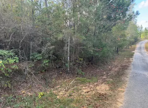 000 J Bailey Rd, Wiggins, MS 39577 photo 6