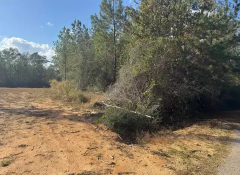 000 J Bailey Rd, Wiggins, MS 39577 photo 5