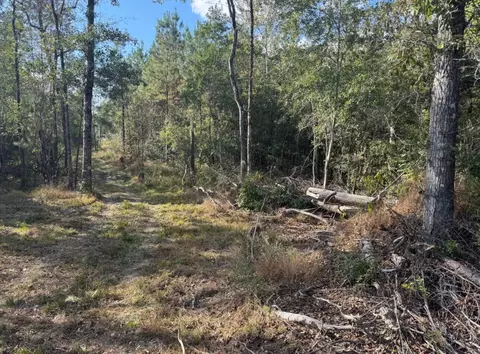 000 J Bailey Rd, Wiggins, MS 39577 photo 3