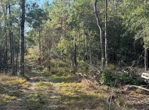000 J Bailey Rd, Wiggins, MS 39577