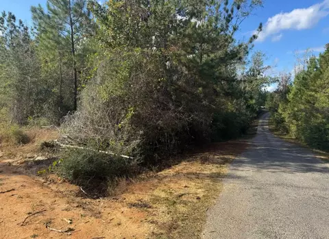 000 J Bailey Rd, Wiggins, MS 39577 photo 4
