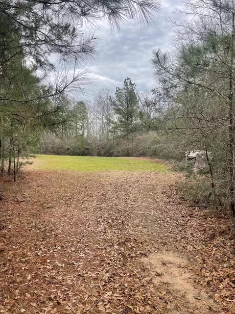 tbd Mt Carmel Rd, Prentiss, MS 39474