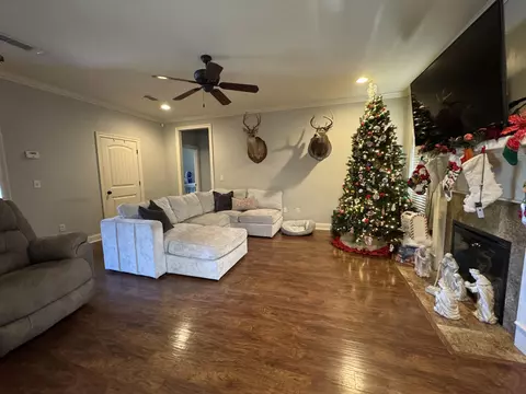 Living - 50 E Adam Dr, Sumrall, MS 39482 photo 1 of 2