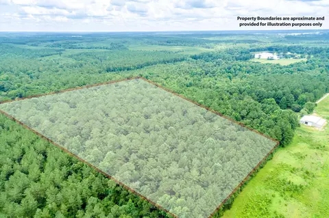 25 5 - Acres Canty Rayborn Rd, Sumrall, MS 39482