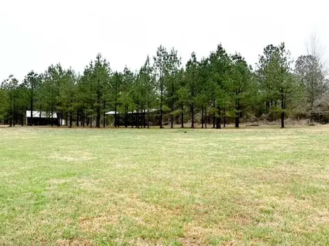 217 Bill Blair Rd, Magee, MS 39111 photo 7