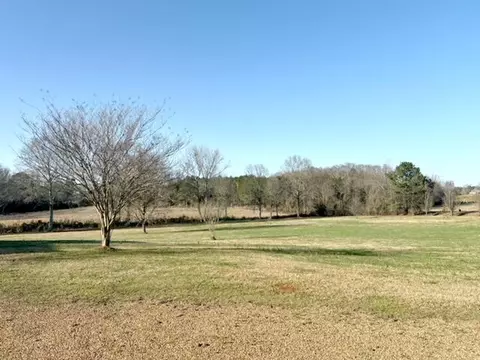 217 Bill Blair Rd, Magee, MS 39111 photo 3