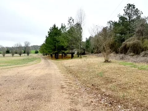 217 Bill Blair Rd, Magee, MS 39111 photo 8