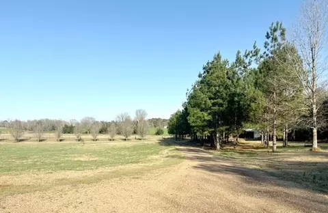 217 Bill Blair Rd, Magee, MS 39111 photo 9