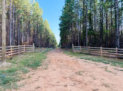 3305 Purvis To Columbia Rd, Lumberton, MS 39455