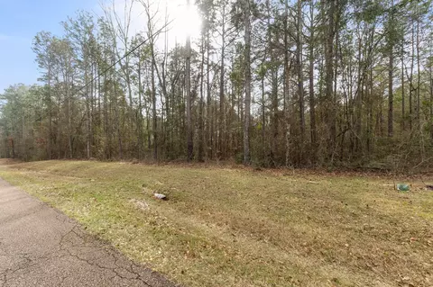 0 E Bay Dr, Lumberton, MS 39455 photo 3