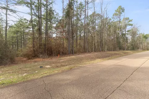 0 E Bay Dr, Lumberton, MS 39455 photo 4
