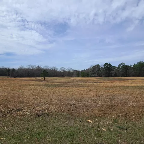 763 Nobles Rd, Sumrall, MS 39482 photo 13