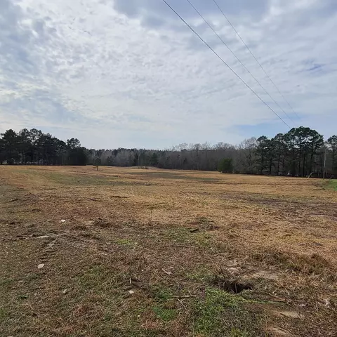 763 Nobles Rd, Sumrall, MS 39482 photo 6