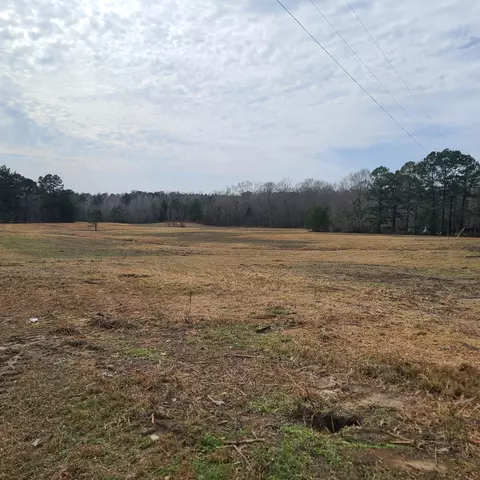 763 Nobles Rd, Sumrall, MS 39482 photo 8