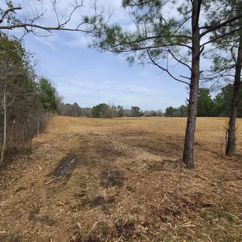 763 Nobles Rd, Sumrall, MS 39482 photo 11