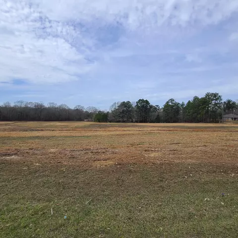 763 Nobles Rd, Sumrall, MS 39482 photo 14