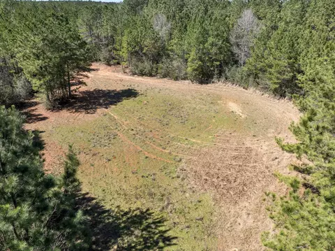 0 Matthew Johnson Rd, Wiggins, MS 39577 photo 8