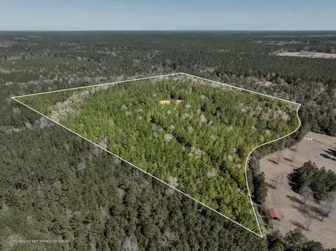 0 Matthew Johnson Rd, Wiggins, MS 39577