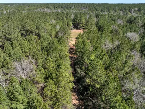 0 Matthew Johnson Rd, Wiggins, MS 39577 photo 6