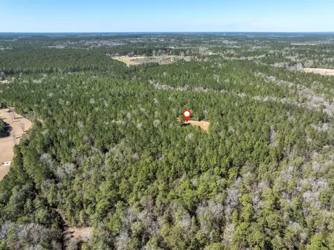 0 Matthew Johnson Rd, Wiggins, MS 39577 photo 15
