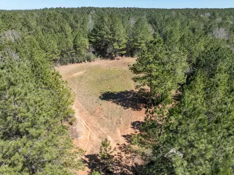 0 Matthew Johnson Rd, Wiggins, MS 39577 photo 7