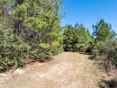 0 Matthew Johnson Rd, Wiggins, MS 39577 photo 3