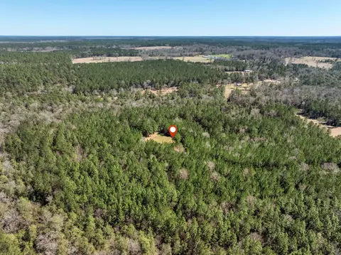 0 Matthew Johnson Rd, Wiggins, MS 39577 photo 17