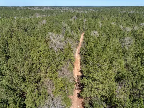 0 Matthew Johnson Rd, Wiggins, MS 39577 photo 5