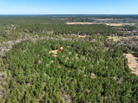 0 Matthew Johnson Rd, Wiggins, MS 39577 photo 18