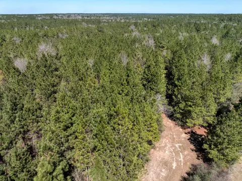 0 Matthew Johnson Rd, Wiggins, MS 39577 photo 4