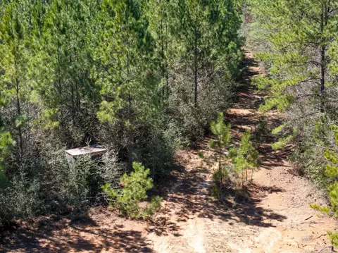 0 Matthew Johnson Rd, Wiggins, MS 39577 photo 9